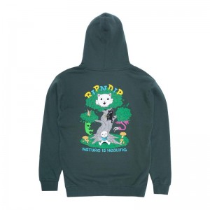 Ripndip Adventure Club Hoodie Groen | NLYU2554