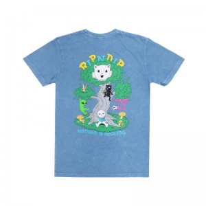 Ripndip Adventure Club Overhemd Lichtturkoois | NLZG2253