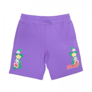 Ripndip Aloha Nerm Sweat Korte Broek Lavendel | NLVD2178