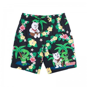 Ripndip Aloha Nerm Swim Korte Broek Zwart | NLLH2174