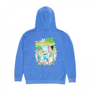 Ripndip Beach Boys Hoodie Lichtturkoois | NLHK2570