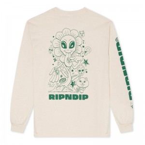 Ripndip Dance Forever Lange Mouwen Beige | NLYU2424