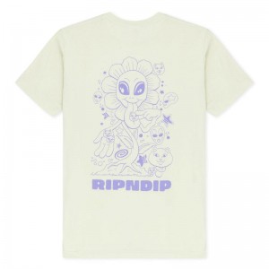 Ripndip Dance Forever Overhemd Lichtgroen | NLBC2231