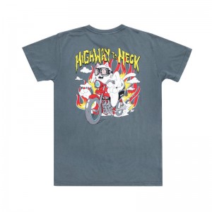 Ripndip Highway To Heck Overhemd Grijs | NLHK2362