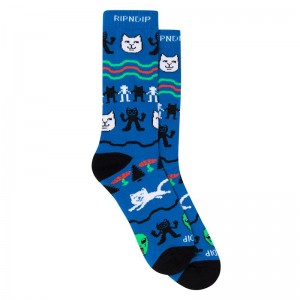 Ripndip Jolly Holiday Sokken Donkerblauw | NLRW2653