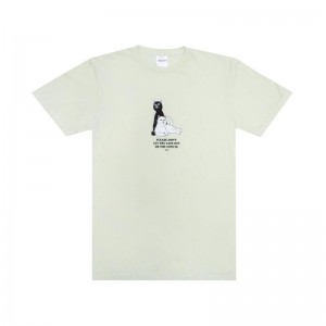 Ripndip Keep The Cats In Overhemd Lichtgroen | NLLH2252