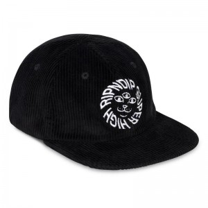 Ripndip Kinetic Field 6 Panel Corduroy Strapback Hoeden Zwart | NLWY2053
