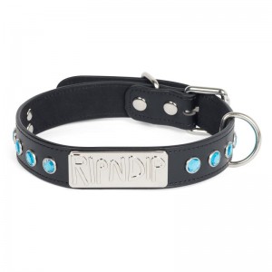 Ripndip Lord Nermal Studded Pet Collar Accessoires Zwart | NLOR2772