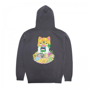 Ripndip Pretty Sad Hoodie Grijs | NLRW2556