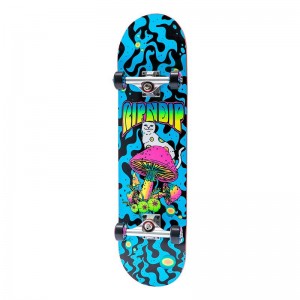 Ripndip Psychedelic Complete Skateboard Blauw | NLFM2696