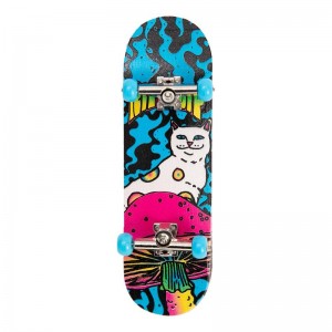 Ripndip Psychedelic Mini Skateboard Gekleurd | NLHK2712