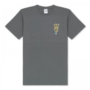 Ripndip RIPNLIT Overhemd Grijs | NLAP2218