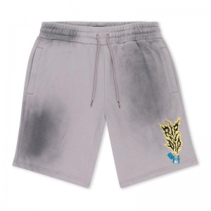 Ripndip Ripnlit Sweat Korte Broek Grijs | NLTV2160