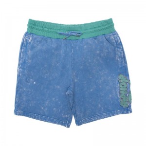 Ripndip Ripntail Sweat Korte Broek Blauw Lichtturkoois | NLNB2206