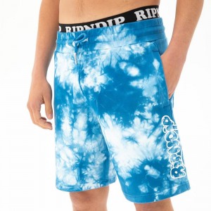 Ripndip Ripntail Sweat Korte Broek Blauw Lichtturkoois | NLTV2186