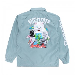 Ripndip Runaway Coaches Jassen Diepgroen | NLVD2485