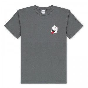 Ripndip Spiraling Overhemd Grijs | NLCE2229