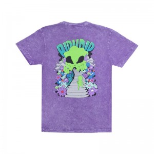 Ripndip The Unknown Overhemd Paars Lichtturkoois | NLKI2277