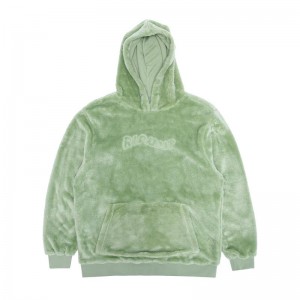 Ripndip Waves Sherpa Hoodie Groen | NLXF2539