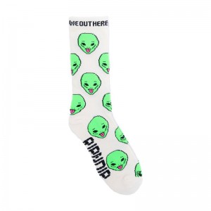 Ripndip We Out Here Sokken Room | NLUT2676